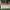 https://res.cloudinary.com/billionhands/image/upload/v1775158256/items/fbso5ngyhkyqn5raoey4.webp-3cover