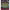 https://res.cloudinary.com/billionhands/image/upload/v1775158265/items/rfxmzaxlwubqldsdx0za.webp-0cover