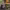 https://res.cloudinary.com/billionhands/image/upload/v1775158296/items/ohvushlobf8cvmr9vdmw.webp-1cover