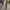 https://res.cloudinary.com/billionhands/image/upload/v1775158302/items/bnntvtlhf4hwbbwflx8v.avif-3cover