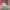 https://res.cloudinary.com/billionhands/image/upload/v1775158371/items/vzz9qyxyjzcs3mqpezgu.webp-3cover