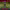 https://res.cloudinary.com/billionhands/image/upload/v1775158638/items/ktv7cpzpnukrhwqqab7m.jpg-3cover