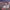 https://res.cloudinary.com/billionhands/image/upload/v1775159312/items/ohwxrx1ic2mazjwmmv0w.jpg-2cover