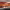 https://res.cloudinary.com/billionhands/image/upload/v1775159322/items/w6clfor6o4qln3byfrsb.jpg-3cover