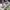 https://res.cloudinary.com/billionhands/image/upload/v1775159430/items/d7jcxncnuoljvcghbzqi.jpg-1cover