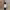 https://res.cloudinary.com/billionhands/image/upload/v1775159507/items/inp9qibgp4foflztejk8.jpg-3cover