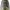 https://res.cloudinary.com/billionhands/image/upload/v1775159516/items/xgrtodvtd4eectzlp2ui.jpg-0cover