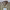 https://res.cloudinary.com/billionhands/image/upload/v1775159671/items/ssaealdfq3e8z8s9mfje.jpg-3cover