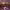 https://res.cloudinary.com/billionhands/image/upload/v1775160286/items/yuoeks0zlsq802huk4uo.jpg-1cover