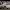 https://res.cloudinary.com/billionhands/image/upload/v1775160288/items/nckcj6jrjz03rj54lwyd.jpg-1cover