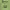 https://res.cloudinary.com/billionhands/image/upload/v1775160383/items/hjuarj9zcxgqto3mmfj5.jpg-3cover