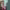 https://res.cloudinary.com/billionhands/image/upload/v1775160518/items/mygdsjum086ytisdiqte.webp-1cover