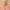 https://res.cloudinary.com/billionhands/image/upload/v1775160651/items/oncesmmbblnslbju7oxk.png-1cover