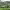 https://res.cloudinary.com/billionhands/image/upload/v1775160766/items/vw2rswdgcfuhoaobhwnt.jpg-0cover