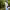 https://res.cloudinary.com/billionhands/image/upload/v1775160771/items/ctnpsjf1bru9ttkr2kgd.jpg-0cover
