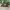 https://res.cloudinary.com/billionhands/image/upload/v1775160865/items/wsgogjbe2umgmonar8vy.jpg-3cover