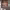 https://res.cloudinary.com/billionhands/image/upload/v1775160989/items/adnsz2mtd5qkzzywxktr.webp-0cover
