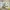 https://res.cloudinary.com/billionhands/image/upload/v1775161068/items/guh8jvjvu0qitgu9pzw2.jpg-1cover
