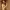https://res.cloudinary.com/billionhands/image/upload/v1775161083/items/jyfzpmxbp4gkjwprt2zs.jpg-3cover