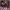 https://res.cloudinary.com/billionhands/image/upload/v1775161096/items/pxbg37pludguvv2bqqkb.jpg-0cover