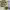 https://res.cloudinary.com/billionhands/image/upload/v1775161119/items/tmeh65yeoluvbecwjyhv.jpg-1cover