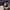 https://res.cloudinary.com/billionhands/image/upload/v1775161251/items/fqvy8wboq8dpgzz6n4gu.jpg-2cover