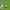 https://res.cloudinary.com/billionhands/image/upload/v1775161404/items/ajrn9huiul8h9vdbjrpj.jpg-2cover