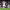https://res.cloudinary.com/billionhands/image/upload/v1775161408/items/jxn7xmhg1ygyfibnfilh.avif-3cover
