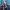 https://res.cloudinary.com/billionhands/image/upload/v1775161512/items/vhyyvkaxynbmosut8epa.webp-3cover