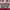 https://res.cloudinary.com/billionhands/image/upload/v1775161541/items/si1qbaykyfujvpnc9fd7.jpg-2cover