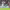 https://res.cloudinary.com/billionhands/image/upload/v1775161740/items/h5dcy2qucqqcmklnzh4h.webp-3cover
