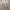 https://res.cloudinary.com/billionhands/image/upload/v1775162032/items/ygkuocebuuepyzeykzke.webp-2cover