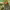 https://res.cloudinary.com/billionhands/image/upload/v1775163147/items/r4bqs2qrdaaixvagdfxs.jpg-0cover