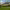 El Conquistador Golf - Pusch Ridge Course (Oro Valley, Arizona) cover