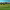 https://res.cloudinary.com/billionhands/image/upload/v1775163148/items/s0z88bsycur5rwqldrmk.jpg-2cover