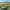 https://res.cloudinary.com/billionhands/image/upload/v1775163150/items/bpioreyumafakf6wginq.jpg-0cover