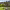 Boulders Golf Club - North Course (Carefree, Arizona) cover