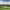 https://res.cloudinary.com/billionhands/image/upload/v1775163165/items/kf8yhtvwewjesqnvodr7.jpg-2cover