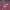 https://res.cloudinary.com/billionhands/image/upload/v1775163323/items/uawkzlhos8slu4twwtos.jpg-0cover
