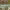 https://res.cloudinary.com/billionhands/image/upload/v1775163844/items/ahdwq9kze6mkwgjiyufq.jpg-1cover