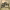 https://res.cloudinary.com/billionhands/image/upload/v1775163999/items/oipyrz5oad7mdctlwcbb.jpg-0cover