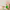 https://res.cloudinary.com/billionhands/image/upload/v1775165786/items/zm2oiwgyhhttpz7y0b2x.jpg-2cover