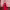 Sydney Sweeney - Vestido rojo satinado de Oscar de la Renta (2025) cover