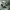 https://res.cloudinary.com/billionhands/image/upload/v1775166444/items/hmgdfyvkwabazkrxlrlr.jpg-2cover