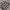 https://res.cloudinary.com/billionhands/image/upload/v1775166446/items/sy9vp9xe7gukyutncems.jpg-2cover