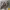 https://res.cloudinary.com/billionhands/image/upload/v1775166536/items/skekpkayxmfo9anbdlde.jpg-0cover