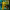 https://res.cloudinary.com/billionhands/image/upload/v1775166574/items/kvlie6apjd3kpidtebzk.jpg-2cover