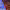 https://res.cloudinary.com/billionhands/image/upload/v1775166617/items/aimqzeggbbeppgcdxkq6.jpg-2cover