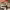 https://res.cloudinary.com/billionhands/image/upload/v1775166646/items/uf3xplp2vmesbhtcxsuk.jpg-0cover