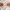 https://res.cloudinary.com/billionhands/image/upload/v1775166692/items/fvfshf91kfvtick1uhld.webp-2cover